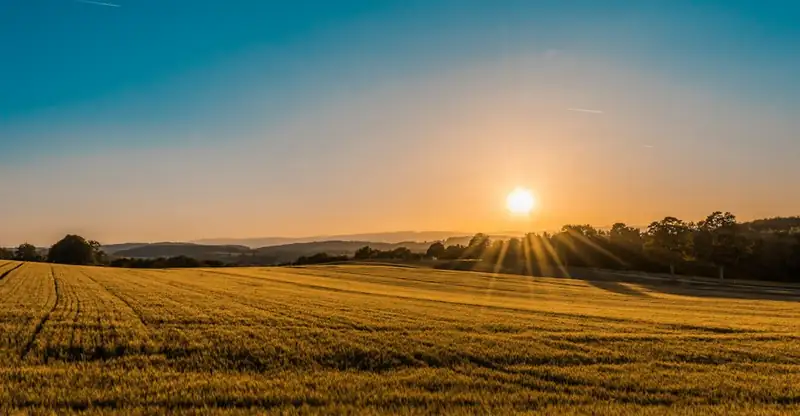 Campo agrícola